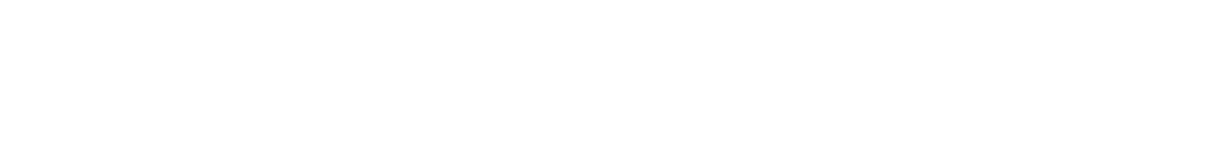 BUSINESS STYLE